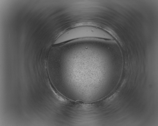 X0000067530849200604211842