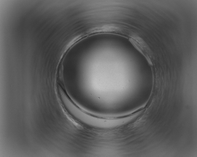 X0000067530850200604211842