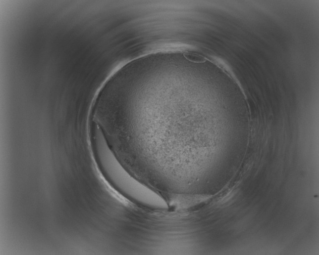 X0000067530851200604211842