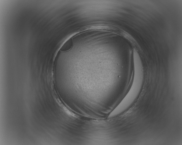 X0000067530852200604211842