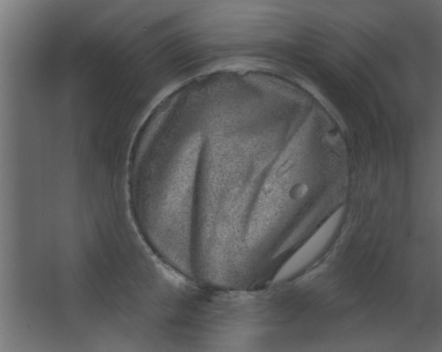 X0000067530853200604211842