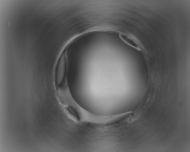 X0000067530854200604211842