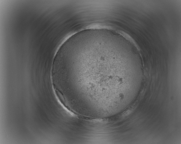 X0000067530855200604211842