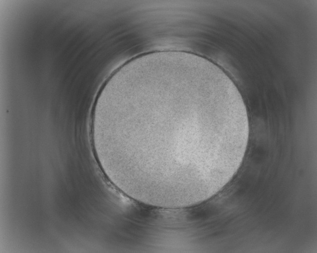 X0000067530856200604211842