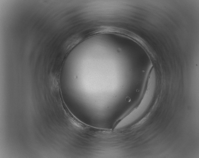 X0000067530857200604211842