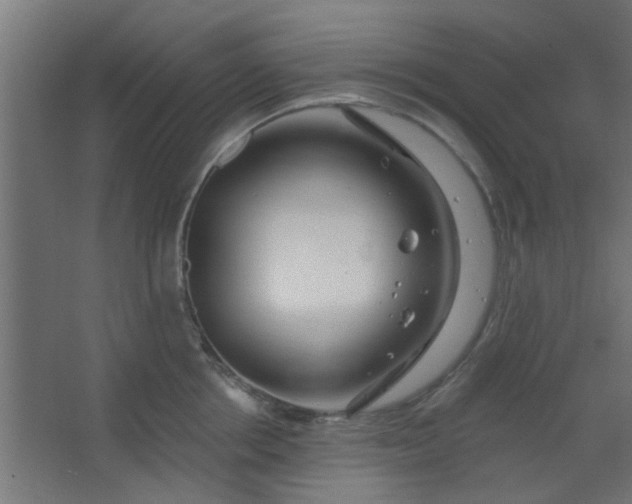 X0000067530858200604211842