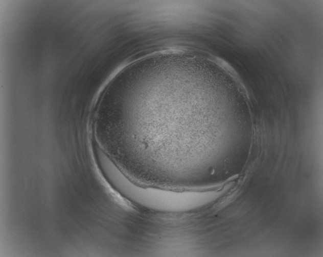 X0000067530859200604211842