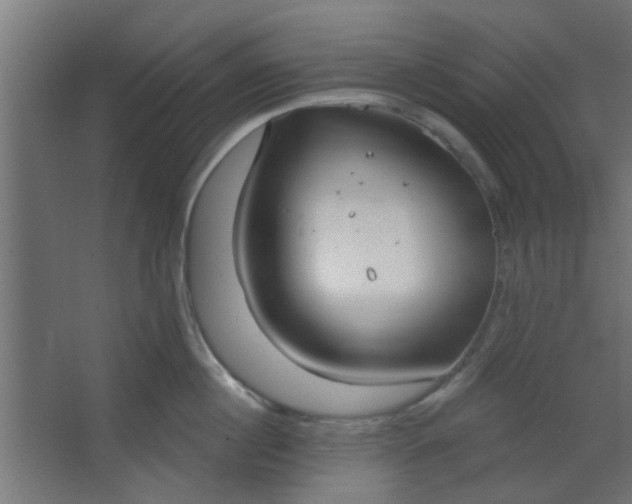 X0000067530860200604211842