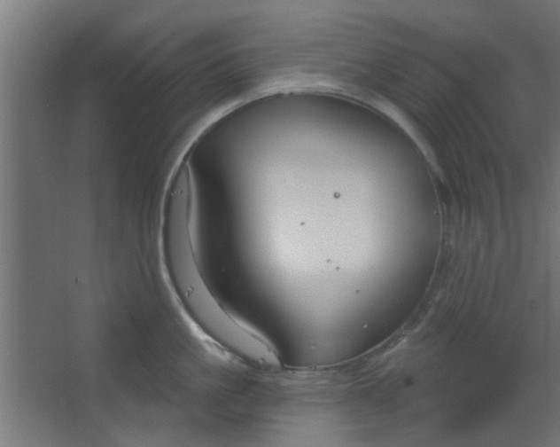 X0000067530861200604211842