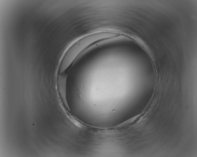 X0000067530862200604211842