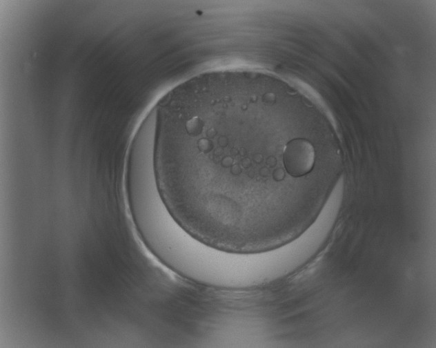 X0000067530863200604211842