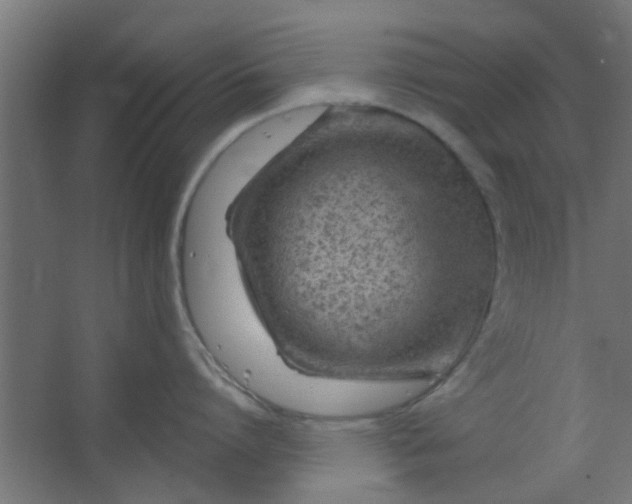 X0000067530864200604211842