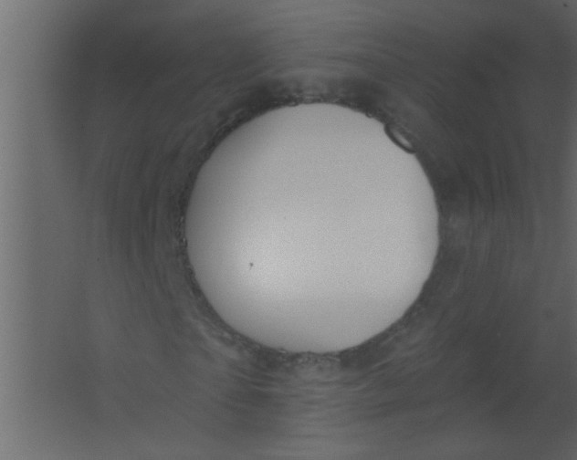 X0000067530865200604211841