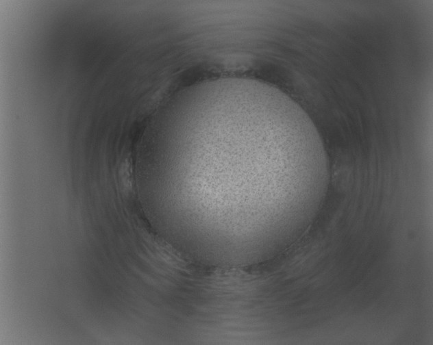 X0000067530866200604211841