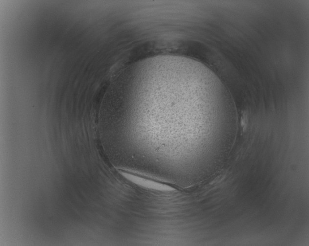 X0000067530867200604211841