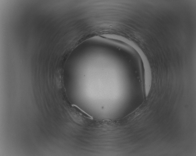 X0000067530868200604211841