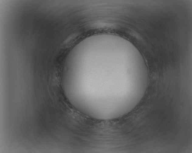 X0000067530869200604211841