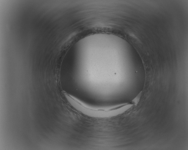 X0000067530870200604211841