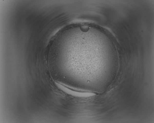 X0000067530871200604211841