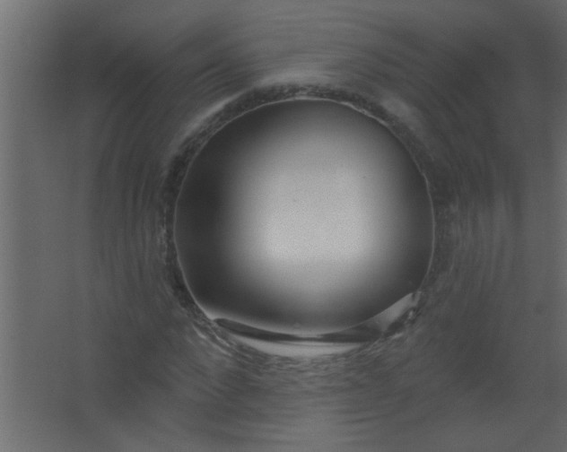 X0000067530872200604211841