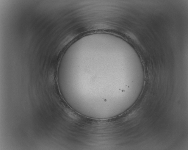 X0000067530873200604211841