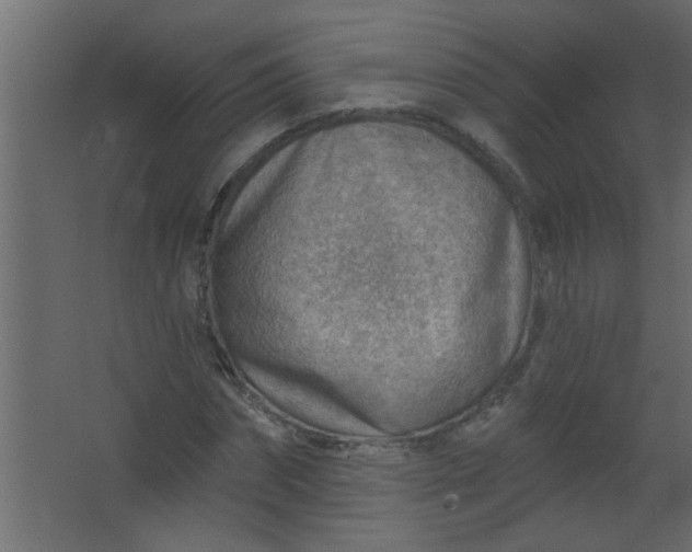 X0000067530874200604211841