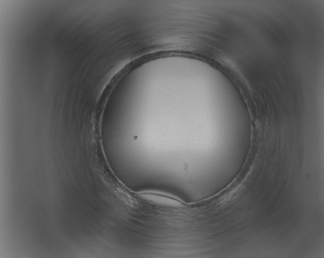 X0000067530875200604211841