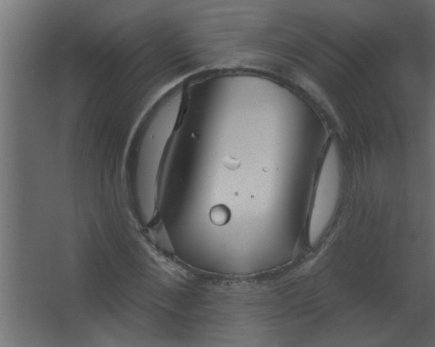 X0000067530876200604211841