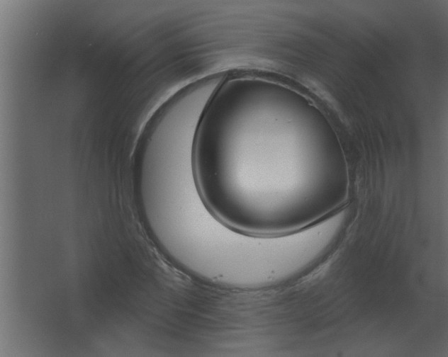 X0000067530877200604211841