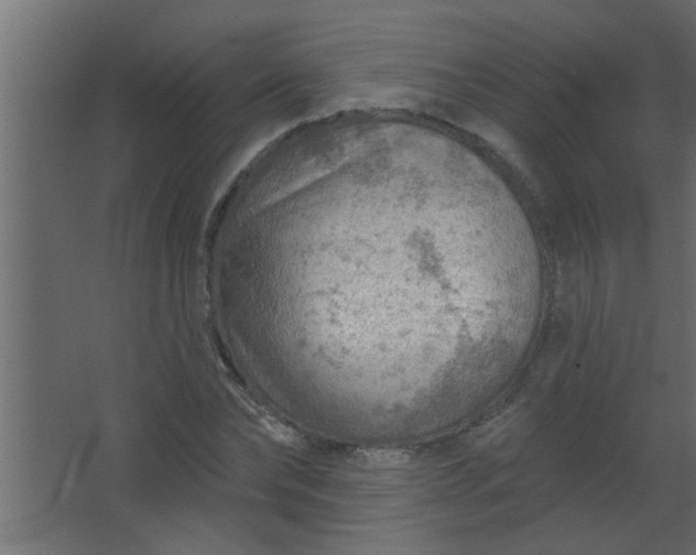 X0000067530878200604211841