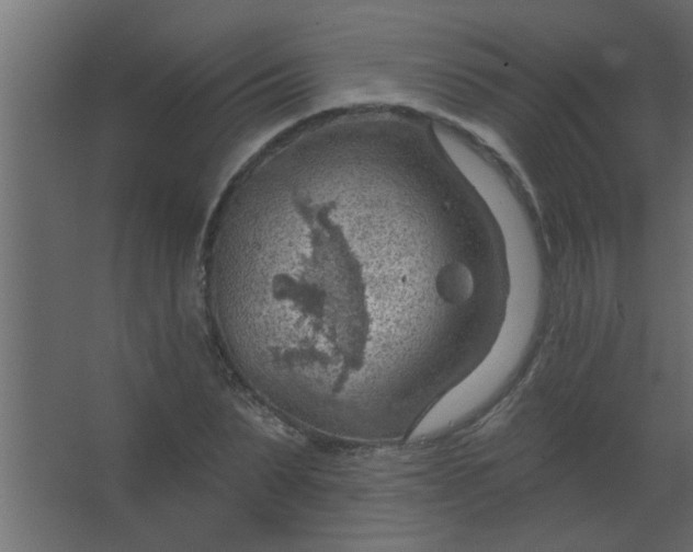 X0000067530879200604211841