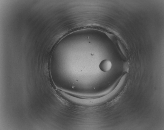 X0000067530881200604211841