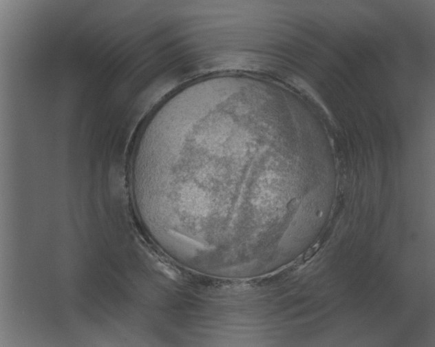 X0000067530882200604211841