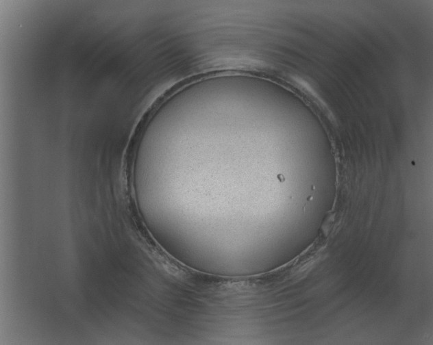 X0000067530883200604211841