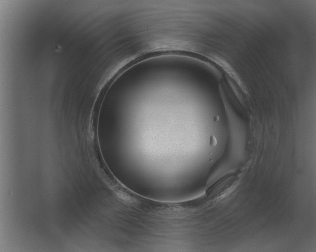 X0000067530885200604211841