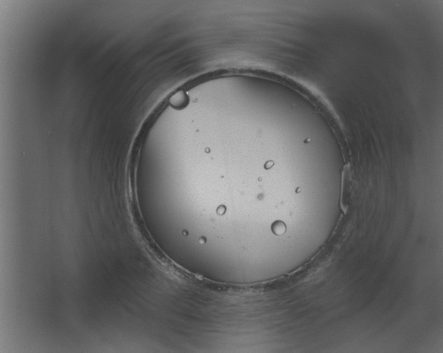 X0000067530887200604211841