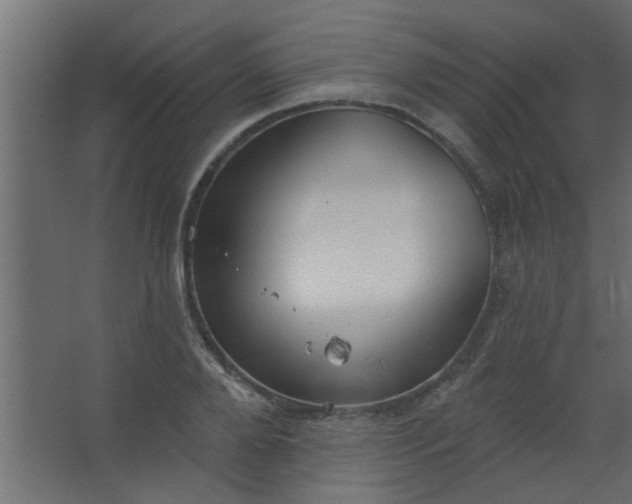 X0000067530888200604211841