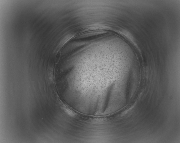 X0000067530889200604211841