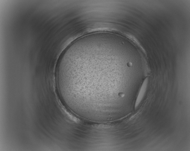 X0000067530890200604211841