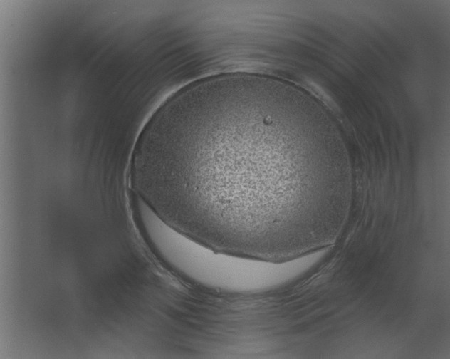 X0000067530891200604211841