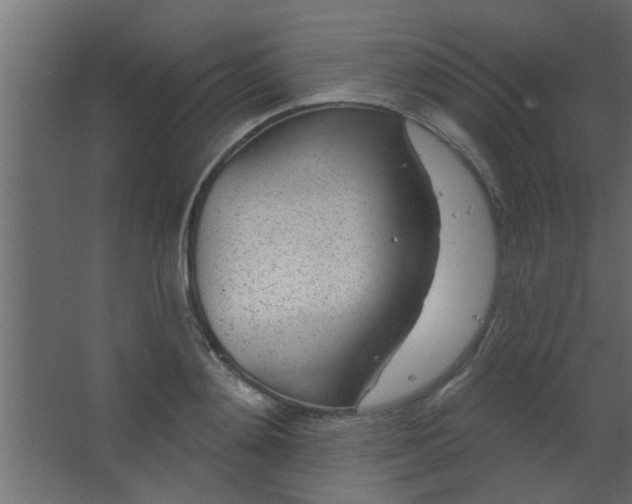 X0000067530892200604211840