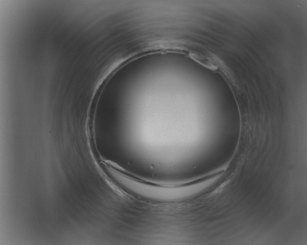 X0000067530893200604211840