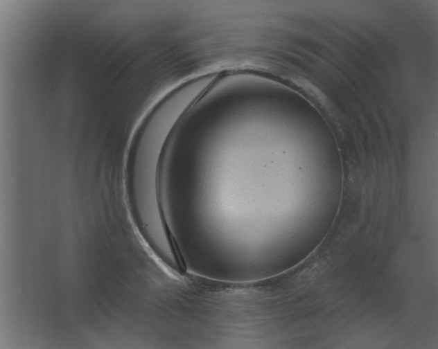 X0000067530894200604211840