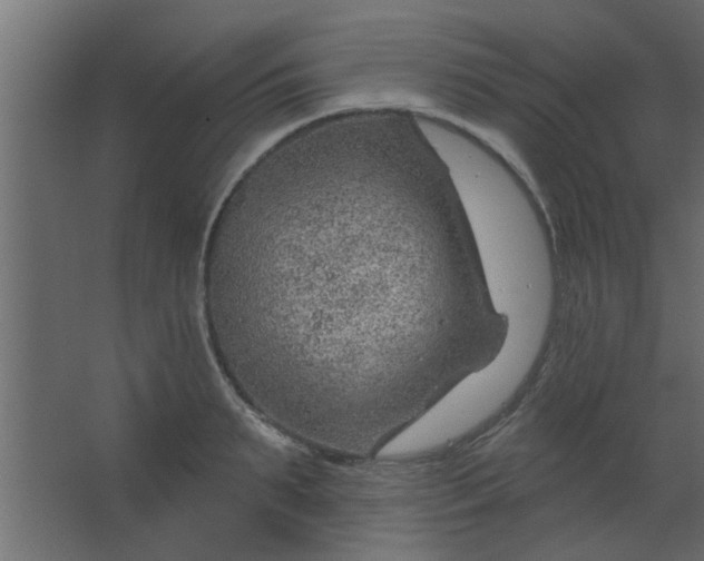 X0000067530895200604211840