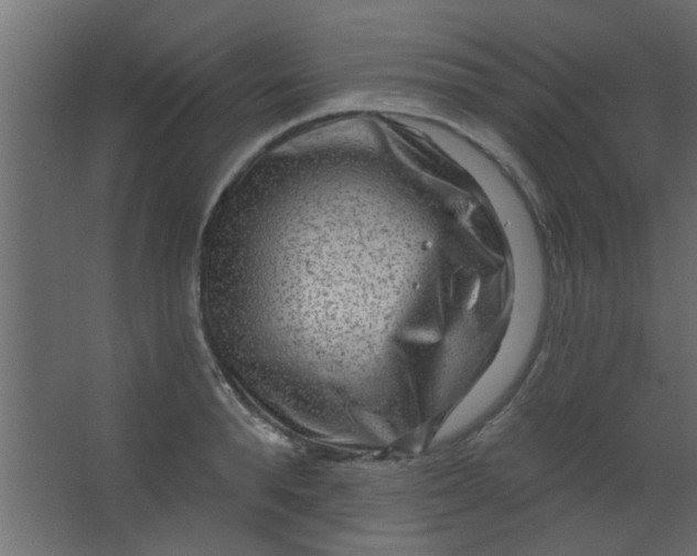 X0000067530896200604211840