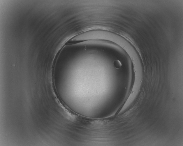 X0000067530898200604211840