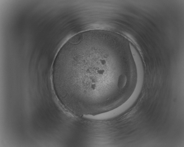 X0000067530899200604211840