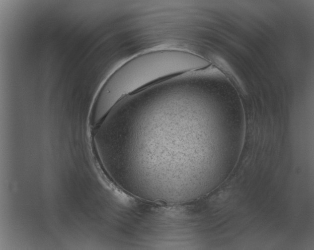 X0000067530900200604211840