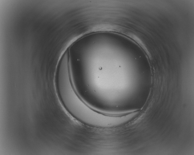 X0000067530901200604211840