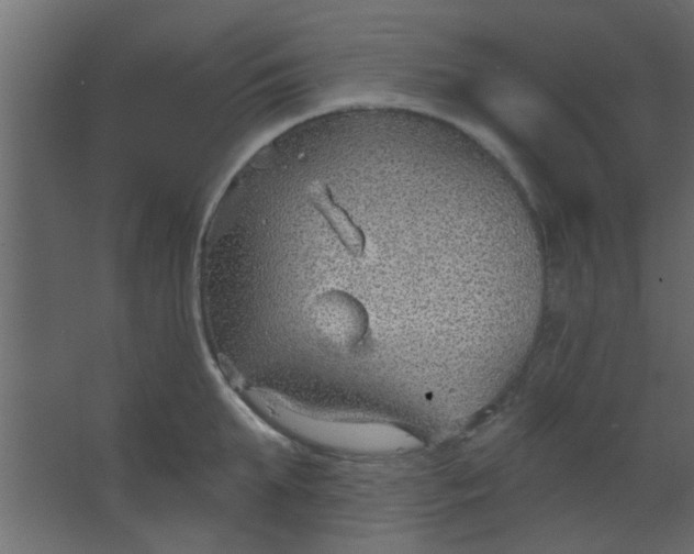 X0000067530903200604211840